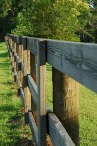 on-the-fence-1388894-1279x1923