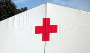 Malafi Elected to Board of Directors of American Red Cross on Long Island